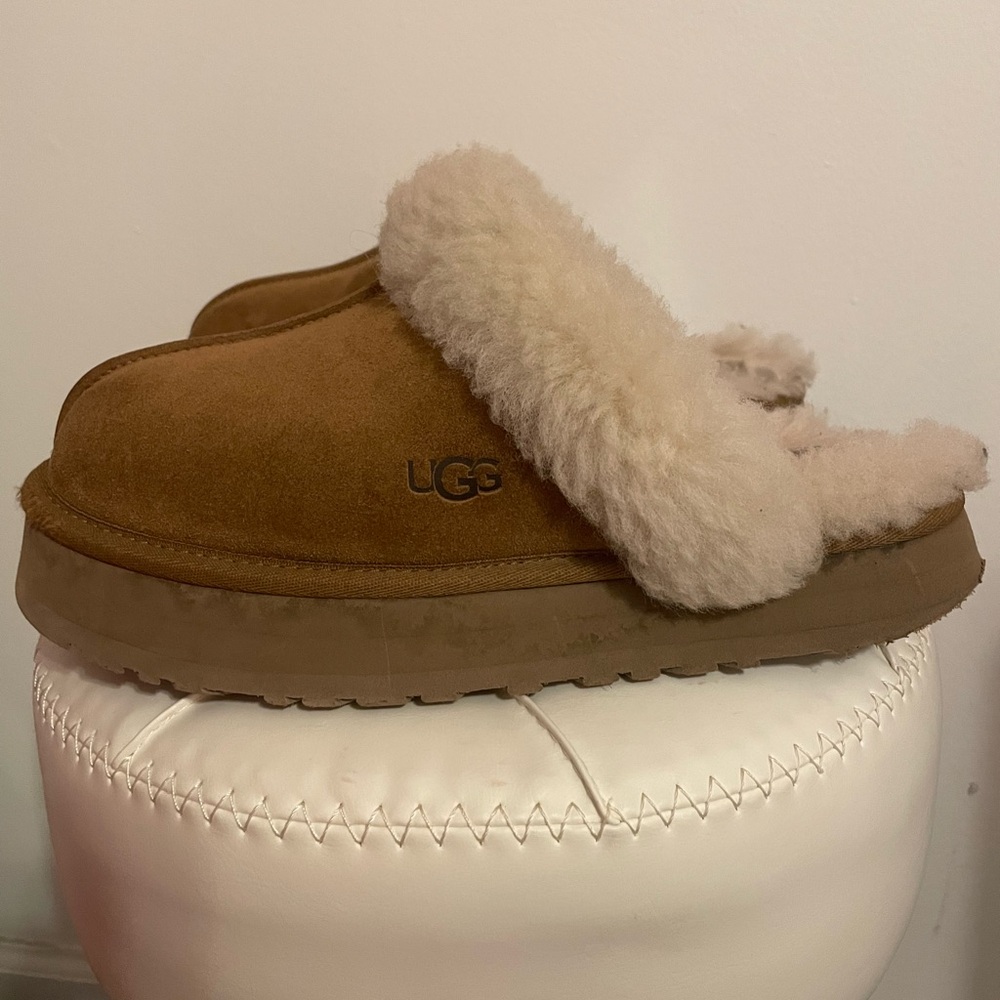 Disquette Chesnut Brown Uggs
